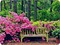 bänk ,blommor träd - gratis png geanimeerde GIF