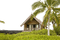 house,home,trees, Town - png gratuito GIF animata