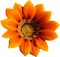 autumn-flower-blomma-minou52 - PNG gratuit GIF animé
