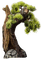 nbl - bonsai,tree - PNG gratuit GIF animé