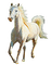 cavallo   blanco dubravka4 - gratis png animerad GIF