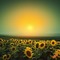 Sunflower Field with Green Sky - gratis png animeret GIF