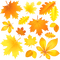 Kaz_Creations Autumn Fall Leaves Leafs Background - gratis png animeret GIF