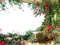 nature - 免费PNG 动画 GIF