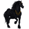 Horse, Adam64 - Nemokamas animacinis gif