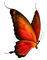 autumn deco kikkapink png butterfly orange