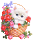 Cat-flowers -Nitsa - GIF animé gratuit GIF animé