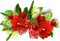 blommor-flowers-deco--red--röd - png gratuito GIF animata