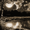 Y.A.M._Gothic Night moon fantasy background sepia