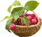 raspberries bp - Free PNG Animated GIF