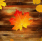 Background Autumn