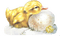 Poussins. - Free PNG Animated GIF