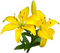 flowers katrin - zadarmo png animovaný GIF