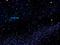 pixel galaxy background - GIF animasi gratis GIF animasi