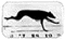 dog running - Zdarma animovaný GIF