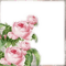 frame cadre flowers - δωρεάν png κινούμενο GIF