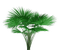 plants katrin - zadarmo png animovaný GIF