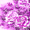 pink milla1959 - Безплатен анимиран GIF анимиран GIF