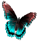 Y.A.M._Summer butterfly - Nemokamas animacinis gif animuotas GIF