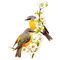 minou-bird - ilmainen png animoitu GIF