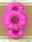 Background Flowers - GIF animado gratis GIF animado