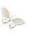Butterfly White Deco  - Bogusia