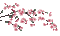 soave animated branch flowers pink green