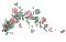 soave deco branch animated flowers  pink green