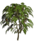 tree, sunshine3 - besplatni png animirani GIF