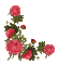Corner. Flower. Red. Leila - Bezmaksas animēts GIF animēts GIF