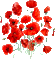 Poppies - GIF animado grátis Gif Animado