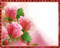 frame, cadre, flower, women's day - PNG gratuit GIF animé