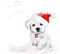 Kaz_Creations Christmas Dog Pup Dogs Colours - png grátis Gif Animado