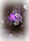patymirabelle fond fleurs - png gratis GIF animasi
