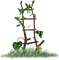 Kaz_Creations Ladders - Free PNG Animated GIF
