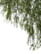 träd-hängande - безплатен png анимиран GIF