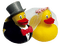 duck - бесплатно png анимированный гифка