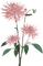 pink flower Bb2 - png gratuito GIF animata