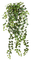 Pflanze - gratis png animeret GIF