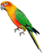 berdina - Free PNG Animated GIF
