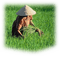 paddy field woman - png gratuito GIF animata