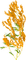 Mimosa.Yellow flowers.Fleurs.Victoriabea - 免费PNG 动画 GIF