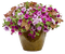 fleurs en pot web charmille - gratis png animeret GIF