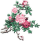 soave deco flowers oriental branch pink green - 無料png アニメーションGIF