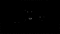 dark dogs - 無料のアニメーション GIF アニメーションGIF