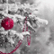 soave background animated winter christmas - GIF animasi gratis GIF animasi
