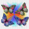 Ladybird - Butterflies - Δωρεάν κινούμενο GIF κινούμενο GIF