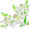 soave deco flowers spring lilies branch corner - 無料png アニメーションGIF