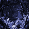 Y.A.M._Fantasy jungle forest background blue - GIF เคลื่อนไหวฟรี GIF แบบเคลื่อนไหว