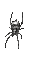 araignée - Bezmaksas animēts GIF animēts GIF